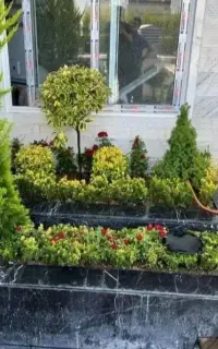 باغ باغچه گل درخت کار میکنم با بیترین کار صف تا صد