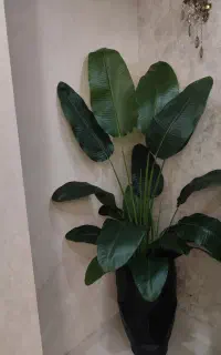 گل مصنوعی بزرگ