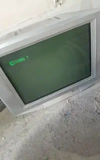 تلویزیون
