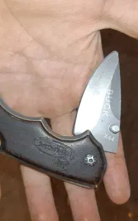 باد.ی ۵