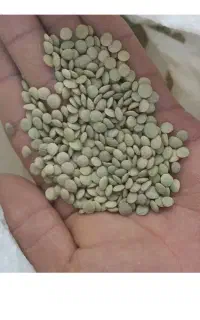 فروشی خوراکی