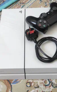 PS4 fat