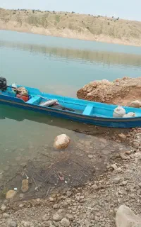 فروشی