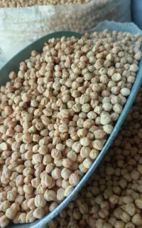 نخود ممتاز کرمانشاه
