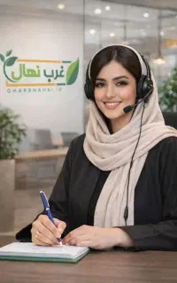 فروش ویژه نهال البالوهلوشلیل سیب گردوبادام گلدانی