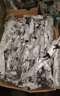 ذغال پسته قلم سفید درجه یک