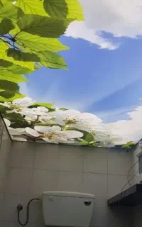 سقف کاذب و دیوار پوش