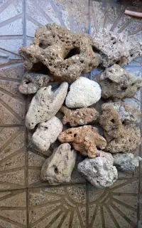 سنگ آکواریوم