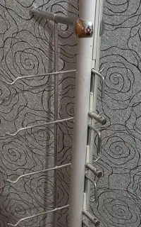 جای عینک و اکسسوری