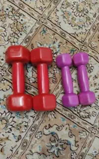 دو جفت دمبل