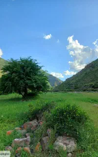 یک عدد خط دائمی فروش فوری