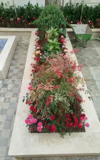 خدمات باغبانی در سراسر کرج پذیرفته میشود
