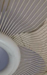 پنکه