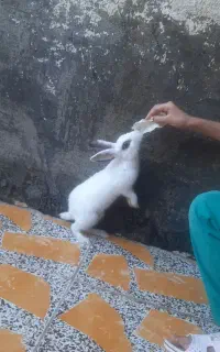 قیمت ۷۰۰۰۰۰۰