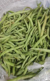 لوبیا سبز