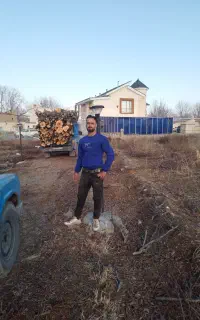 خرید چوب قلمه و گردو و سیب و انواع اقسام چوب خشک