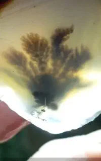 بار خونه سنگ شجر  بدون واسطه از معدن شجر