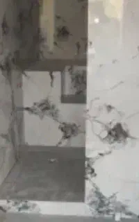 کاشی کاری سیمان کاری سفید کاری  سیاه سفید
