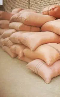فروش کاه گندم،نرم و ریز