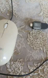 موس