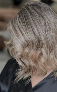 دستیار رنگ ولایت