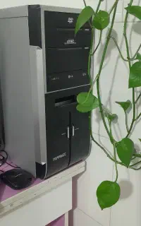 کیس