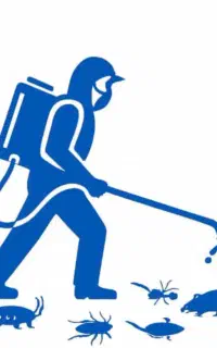 سم پاشی با ریشه کنی قطعی ساس وحشرات موذی