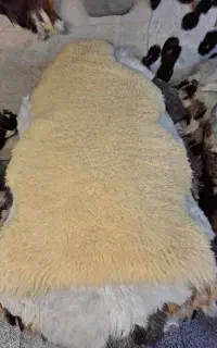 پشم گوسفند