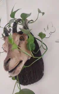 مجسمه