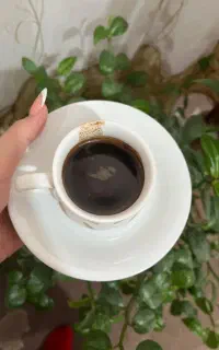 فال اِلی