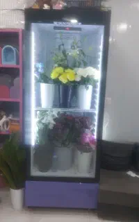 یخچال ایستاده
