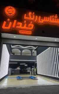 کارشناسی رنگ خودرو