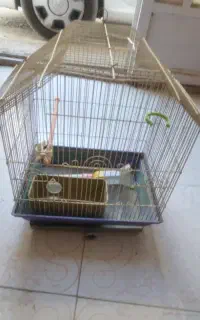 قفس پرنده همراه تجهیزاتش