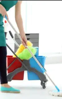 نظافت منزل داعم