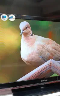 فروش سیمکارت رند بیلبوردی