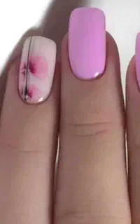 ارائه خدمات به همراه مدل برای تکمیل آلبوم و آموزش