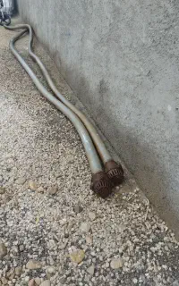 لوله خرطومی 4