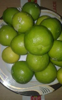 لیمو ترش آبدار
