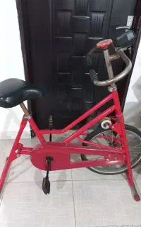 دوچرخه ثابت