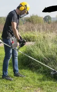 علف زنی ،هرس،