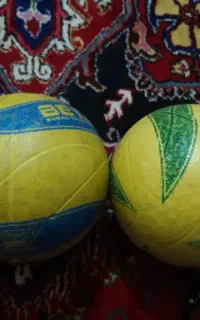 دوعدد توپ والیبال