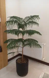 گل و گلدون باهم