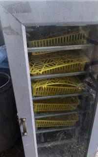 دستگاه جوجه کشی ۲۱۰ تایی