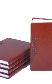 سر رسید
