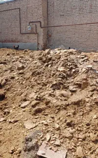 کود حیوانی گوسفند