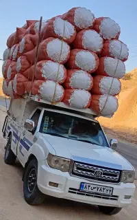 کاه امسال