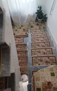 جنس درجه یک در حد نو