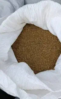 بذر یونجه درجه یک ضمانت شده