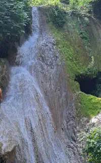 کافی نت
