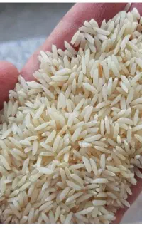 برنج فروشی